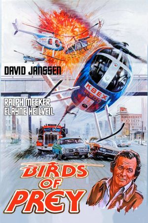 Birds of Prey's poster