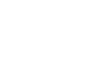 The Wild Robot's poster