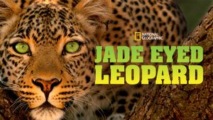 Jade Eyed Leopard's poster
