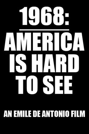 America Is Hard to See's poster