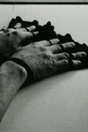 Fingerfächer's poster