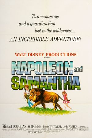 Napoleon and Samantha's poster