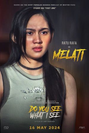 Do You See What I See's poster