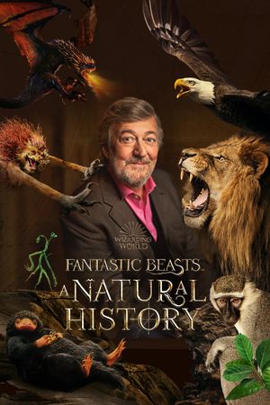 Fantastic Beasts: A Natural History's poster