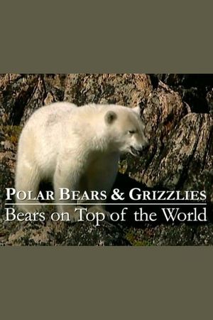 Polar Bears & Grizzlies: Bears on Top of the World's poster