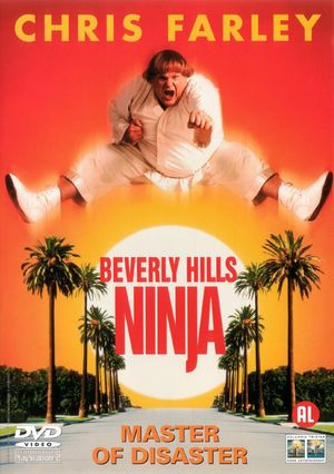 Beverly Hills Ninja's poster