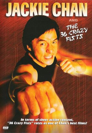 The 36 Crazy Fists's poster