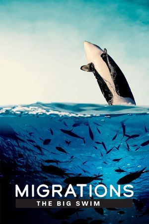 Migrations: The Big Swim's poster