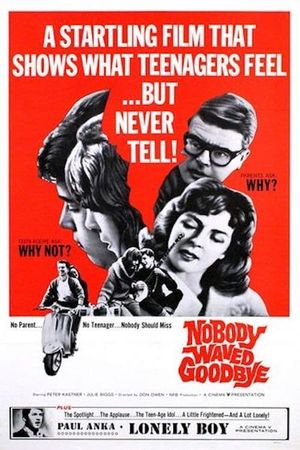 Nobody Waved Good-bye's poster