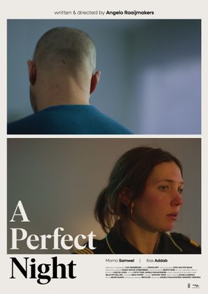 A Perfect Night's poster