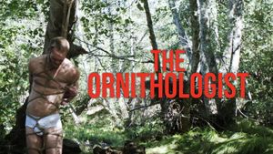 The Ornithologist's poster
