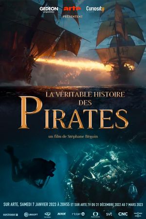 The True Story of Pirates's poster