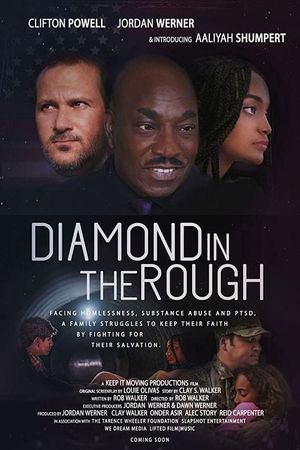 Diamond in the Rough's poster