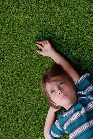 Boyhood's poster