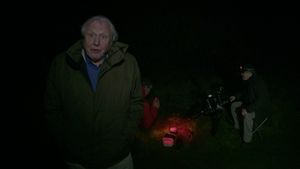The Making Of David Attenborough's Light On Earth's poster