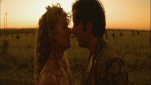 Wild at Heart's poster