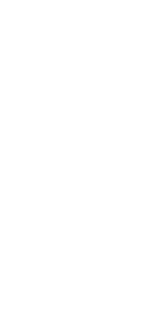 Shaolin Avengers's poster