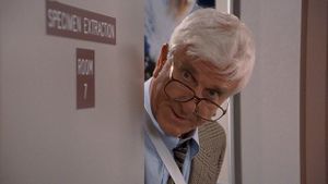 Naked Gun 33 1/3: The Final Insult's poster