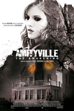 Amityville: The Awakening's poster
