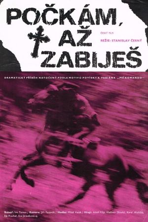 Pockam, az zabijes's poster