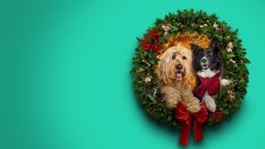 Happy Howlidays's poster