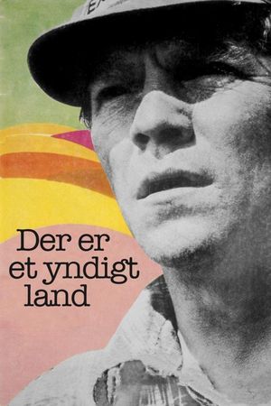 Land of Plenty's poster