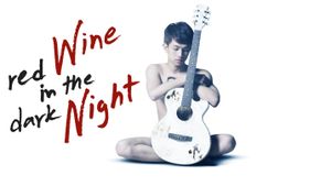 Red Wine in the Dark Night's poster