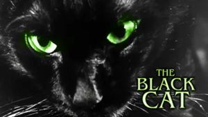 The Black Cat's poster