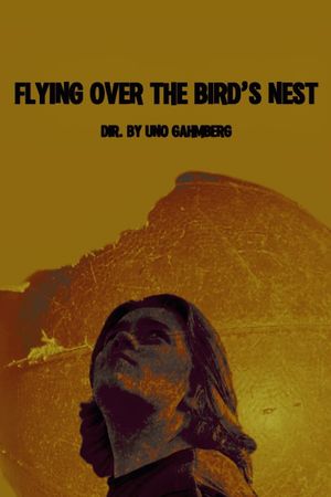 Flying Over The Bird's Nest's poster