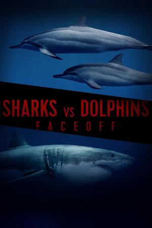 Sharks Vs. Dolphins: Face Off's poster