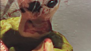 Flesh's poster