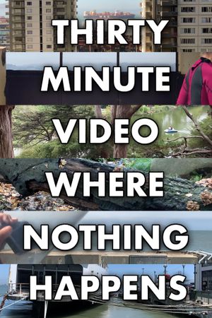 Thirty Minute Video Where Nothing Happens's poster