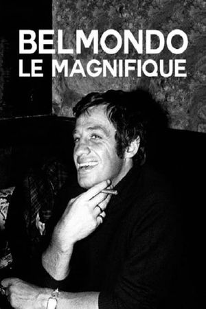 Belmondo, le magnifique's poster