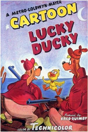 Lucky Ducky's poster