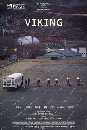 Viking's poster