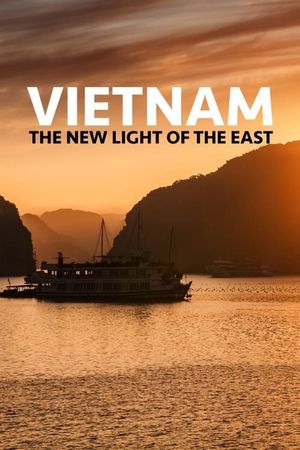 Vietnam the New Light of the East's poster