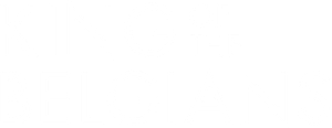 King of the Belgians's poster