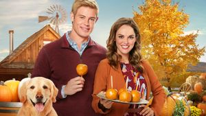 Love, Fall & Order's poster
