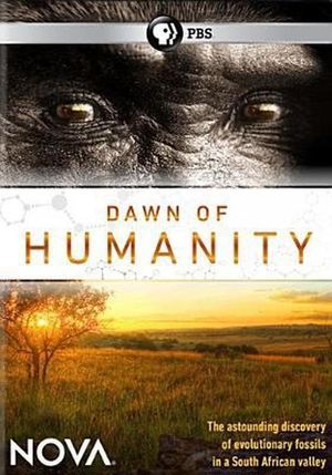 Dawn of Humanity's poster image