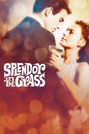 Splendor in the Grass's poster