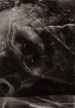 After Psycho Shower's poster