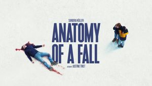 Anatomy of a Fall's poster
