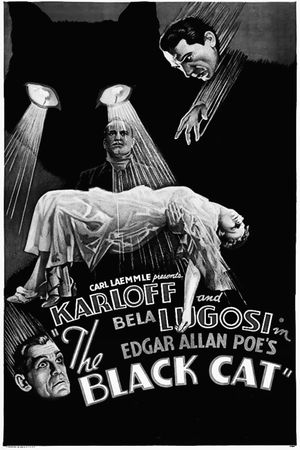 The Black Cat's poster