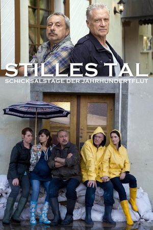 Stilles Tal's poster
