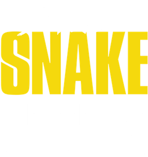 Black Snake: The Legend of Black Snake's poster