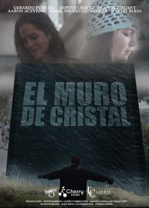 El Muro de Cristal's poster