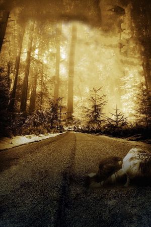 Wrong Turn 2: Dead End's poster
