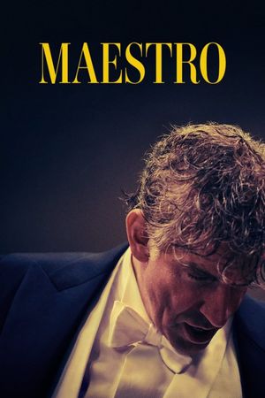 Maestro's poster