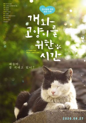 A Time for Dogs and Cats's poster