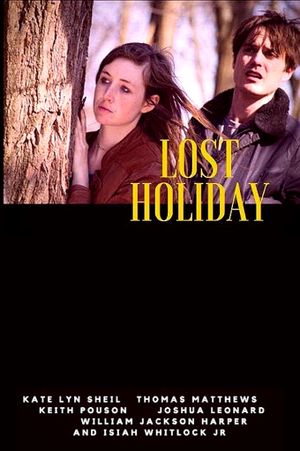 Lost Holiday's poster